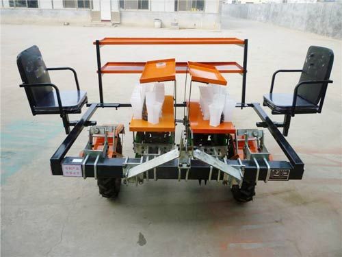 甘藍|西蘭花移栽機