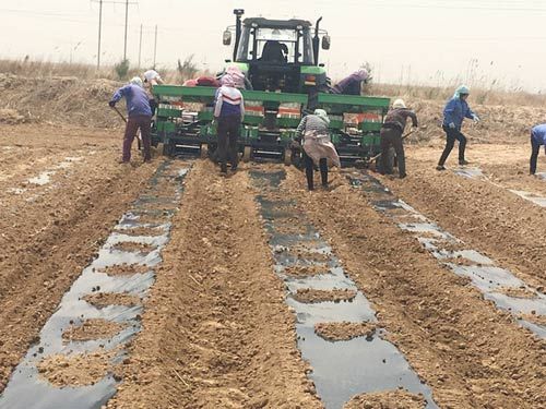 苗圃移栽機(jī)