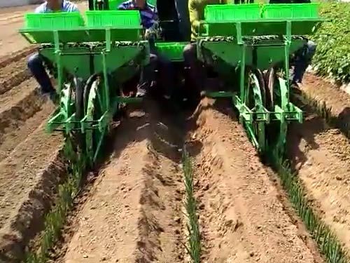 大蔥種植機(jī)